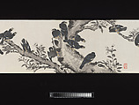Crested Mynahs, (Morimoto) Itsuzan Mokuin (Japanese, 1702–1778), Handscroll: ink and color on paper, Japan