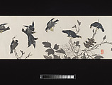 Crested Mynahs, (Morimoto) Itsuzan Mokuin (Japanese, 1702–1778), Handscroll: ink and color on paper, Japan