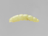 Pendant in the shape of a silk worm, Jade (nephrite), China