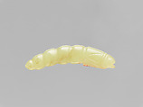 Pendant in the shape of a silk worm, Jade (nephrite), China