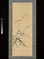 Bush Clover, Grass and Cricket, Matsumura Keibun  Japanese, Hanging scroll; color on paper, Japan
