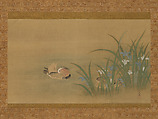 Mandarin Ducks and Iris, Kano Tsunenobu  Japanese, Hanging scroll; ink and color on silk, Japan