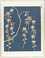 Connoisseur’s Album of Edo-Period Silk Fragments, Accordion album of fourteen pages with textile fragments, Japan