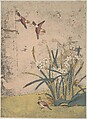 Birds and Narcissus, Suzuki Harunobu Japanese, Woodblock print; ink and color on paper, Japan