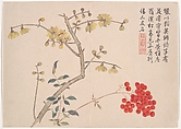 Winter landscapes and flowers, Qian Weicheng (Chinese, 1720–1772), Album of twelve paintings; ink and color on paper, China