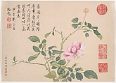 Winter landscapes and flowers, Qian Weicheng (Chinese, 1720–1772), Album of twelve paintings; ink and color on paper, China