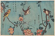 Titmouse and Camellias (right), Sparrow and Wild Roses (center), and Black-naped Oriole and Cherry Blossoms (left), Utagawa Hiroshige  Japanese, Uncut triptych of woodblock prints; ink and color on paper, Japan