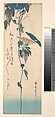 Grasshopper and Morning-glory Vine, Utagawa Hiroshige Japanese, Woodblock print; ink and color on paper, Japan