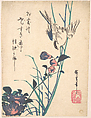 Large-flowered Flat Bill and Sparrow, Utagawa Hiroshige Japanese, Woodblock print; ink and color on paper, Japan