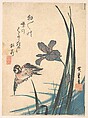 Iris and Sparrow, Utagawa Hiroshige  Japanese, Woodblock print; ink and color on paper, Japan