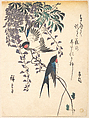 Swallow and Wisteria, Utagawa Hiroshige  Japanese, Woodblock print; ink and color on paper, Japan