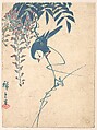 Wisteria and White-headed Bird, Utagawa Hiroshige  Japanese, Woodblock print; ink and color on paper, Japan