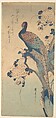 Pheasant with Chrysanthemums, Utagawa Hiroshige  Japanese, Woodblock print (hosoban); ink and color on paper, Japan