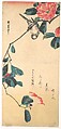 Camellia and Bullfinch, Utagawa Hiroshige  Japanese, Woodblock print; ink and color on paper, Japan
