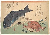Kurodai and Kodai Fish with Bamboo Shoots and Berries, from the series Uozukushi (Every Variety of Fish), Utagawa Hiroshige  Japanese, Woodblock print; ink and color on paper, Japan