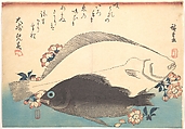 Hirame and Mebaru Fish with Cherry Blossoms, from the series Uozukushi (Every Variety of Fish), Utagawa Hiroshige  Japanese, Woodblock print; ink and color on paper, Japan