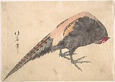 Bird, Hakusanjin Hokui  Japanese, Woodblock print; ink and color on paper, Japan