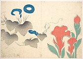 Design of Morning–glory and Other Flowers, Ogata Kōrin  Japanese, Woodblock print (album leaf); ink and color on paper, Japan