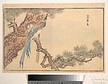 Paradise Fly-catcher, Kuwagata Keisai  Japanese, Woodblock print; ink and color on paper, Japan