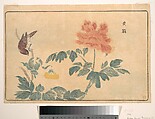Chinese Oriole and Peonies, Kuwagata Keisai  Japanese, Woodblock print; ink and color on paper, Japan