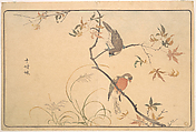 Jūshimatsu (Begalee or a society finch), Kuwagata Keisai  Japanese, Woodblock print; ink and color on paper, Japan