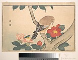 Camellias with a Bird, Kuwagata Keisai  Japanese, Woodblock print; ink and color on paper, Japan