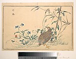 Zhu ji, Kuwagata Keisai  Japanese, Woodblock print; ink and color on paper, Japan