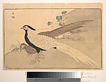 Bai xian, Kuwagata Keisai  Japanese, Woodblock print; ink and color on paper, Japan