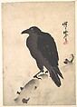 Crow Resting on Wood Trunk, Kawanabe Kyōsai 河鍋暁斎 Japanese, Woodblock print; ink and color on paper, Japan