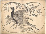 Pheasants, Hishikawa Moronobu  Japanese, Monochrome woodblock print; ink on paper, Japan