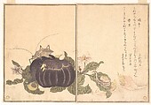 Land Snail (Katatsumuri); Giant Katydid (Kutsuwamushi), from the Picture Book of Crawling Creatures (Ehon mushi erami)
, Kitagawa Utamaro  Japanese, Page from woodblock-printed book; ink and color on paper, Japan