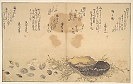 Shells Under Water, Kitagawa Utamaro Japanese, Woodblock print; ink and color on paper, Japan