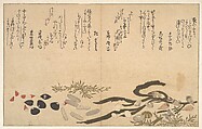 Shells under Water, Kitagawa Utamaro Japanese, Woodblock print; ink and color on paper, Japan
