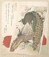 Painting of Peacocks, Pines, a Waterfall, and a Roll of Red Fabric

, Totoya Hokkei  Japanese, Woodblock print (surimono); ink and color on paper, Japan