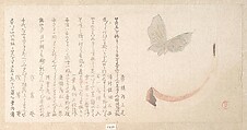 Flower-Vase of Horn and a Butterfly, Kubo Shunman  Japanese, Woodblock print (surimono); ink and color on paper, Japan