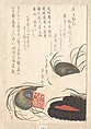 Seal-stone and Seal-ink with Peacock Feathers, from Spring Rain Surimono Album (Harusame surimono-jō), vol. 1, Totoya Hokkei (Japanese, 1780–1850), Privately published woodblock prints (surimono) mounted in an album; ink and color on paper, Japan