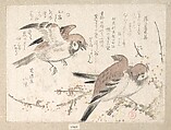 Sparrows and Plum Blossoms, Kubo Shunman  Japanese, Woodblock print (surimono); ink and color on paper, Japan