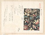 Design for Leather and Netsuke, Kubo Shunman  Japanese, Woodblock print (surimono); ink and color on paper, Japan