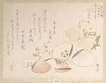 Cherry Blossoms and Shells, Ryūryūkyo Shinsai Japanese, Woodblock print (surimono); ink and color on paper, Japan