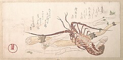 Lobster and Vegetables, Kubo Shunman Japanese, Woodblock print (surimono); ink and color on paper, Japan