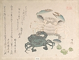 Spring Rain Collection (Harusame shū), vol. 1: Crabs and Lotus Blossoms, Ryūryūkyo Shinsai Japanese, Privately published woodblock prints (surimono) mounted in an album; ink and color on paper, Japan