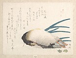 Spring Rain Collection (Harusame shū), vol. 1: Duck and Scallions, Ryūryūkyo Shinsai Japanese, Privately published woodblock prints (surimono) mounted in an album; ink and color on paper, Japan