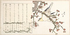 Bush Warbler on a Plum Branch (Ume ni uguisu), Totoya Hokkei Japanese, Woodblock print (surimono); ink and color on paper, Japan