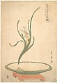 Flower Arrangement of Suisen (Narcissus) in a Flat Green Dish, Utagawa Toyohiro  Japanese, Woodblock print; ink and color on paper, Japan