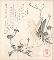 Hare and Dandelion?, Kubo Shunman  Japanese, Woodblock print (surimono); ink and color on paper, Japan