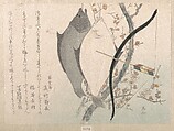 Halibuts and a Bow with Arrow Hanging on a Plum Tree, Ryūryūkyo Shinsai  Japanese, Woodblock print (surimono); ink and color on paper, Japan