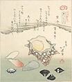 Top-Shell and Various Shells, Totoya Hokkei  Japanese, Woodblock print (surimono); ink and color on paper, Japan