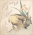 Pair of Mandarin Ducks and Iris Flowers, Kubo Shunman  Japanese, Woodblock print (surimono); ink and color on paper, Japan