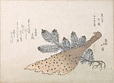 Young Pine Tree and Jeweled Broom, Totoya Hokkei  Japanese, Woodblock print (surimono); ink and color on paper, Japan