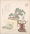 Potted Pine Tree Drum and Seven Herbs Planted in a Box, Sunayama Gosei  Japanese, Woodblock print (surimono); ink and color on paper, Japan